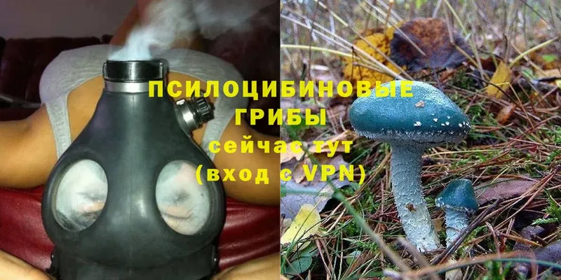 Галлюциногенные грибы MAGIC MUSHROOMS  наркотики  Нахабино 